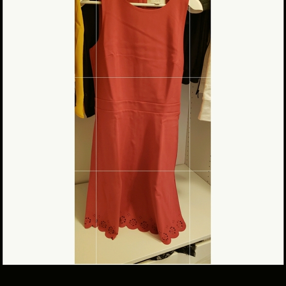 Loft dress NWT - Picture 2 of 8